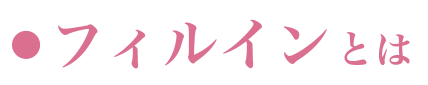 フィルインとは